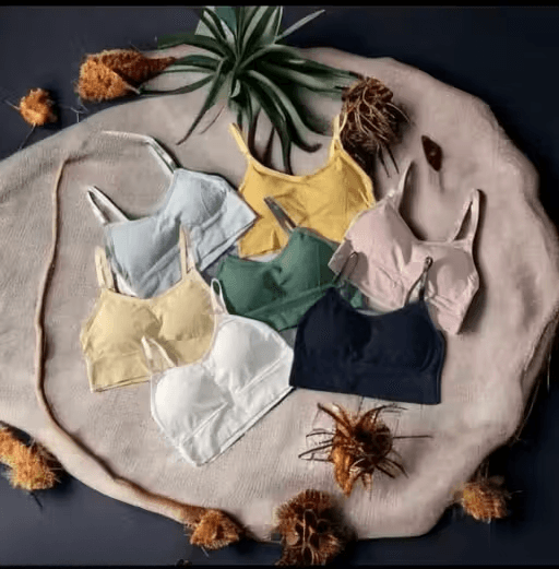 Pearl Enterprise Pack of 2 Cotton Regular Bra Women & Girls | Full Coverage Wire‑Free Set White | Size L